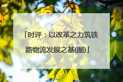 时评：以改革之力筑铁路物流发展之基(图)