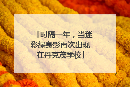 时隔一年，当迷彩绿身影再次出现在丹克茂学校