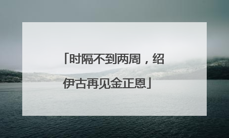 时隔不到两周，绍伊古再见金正恩