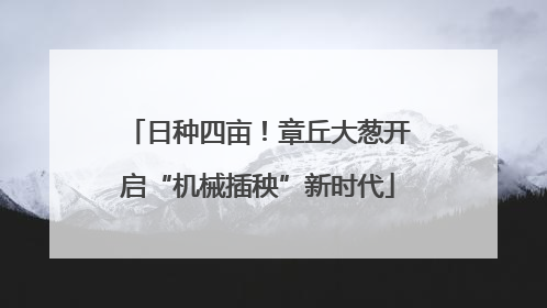 日种四亩！章丘大葱开启“机械插秧”新时代