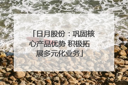 日月股份：巩固核心产品优势 积极拓展多元化业务