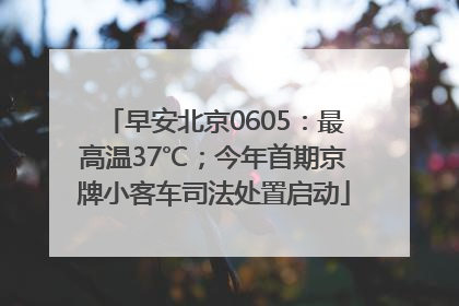 早安北京0605：最高温37℃；今年首期京牌小客车司法处置启动