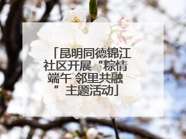 昆明同德锦江社区开展“粽情端午 邻里共融”主题活动