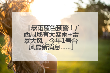 暴雨蓝色预警！广西局地有大暴雨+雷暴大风，今年1号台风最新消息……