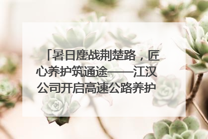 暑日鏖战荆楚路，匠心养护筑通途——江汉公司开启高速公路养护专项工程建设热潮