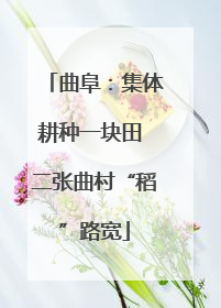 曲阜：集体耕种一块田 二张曲村“稻”路宽