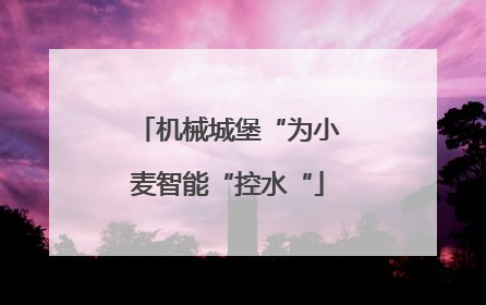 机械城堡“为小麦智能“控水“