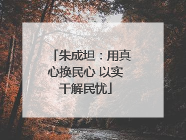 朱成坦:用真心换民心 以实干解民忧
