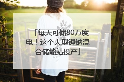 每天可储80万度电！这个大型锂钠混合储能站投产