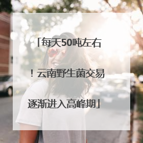 每天50吨左右！云南野生菌交易逐渐进入高峰期