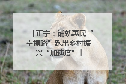 正宁：铺就惠民“幸福路”跑出乡村振兴“加速度”