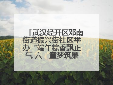 武汉经开区邓南街道振兴街社区举办“端午粽香飘正气 六一童梦筑廉心” 主题活动