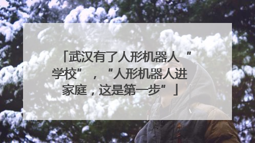 武汉有了人形机器人“学校”，“人形机器人进家庭，这是第一步”