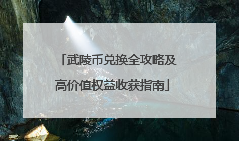 武陵币兑换全攻略及高价值权益收获指南