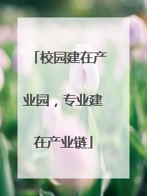 校园建在产业园，专业建在产业链