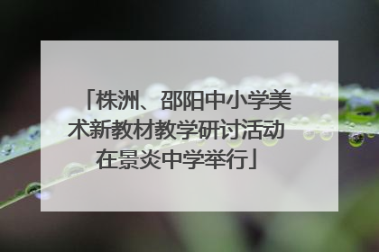 株洲、邵阳中小学美术新教材教学研讨活动在景炎中学举行