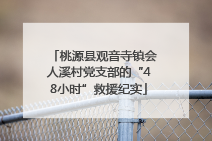 桃源县观音寺镇会人溪村党支部的“48小时”救援纪实