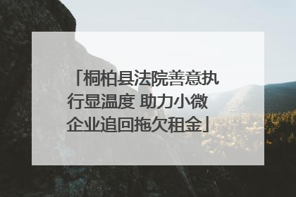 桐柏县法院善意执行显温度 助力小微企业追回拖欠租金