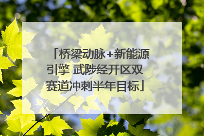 桥梁动脉+新能源引擎 武陟经开区双赛道冲刺半年目标