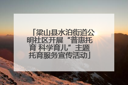 梁山县水泊街道公明社区开展“普惠托育 科学育儿”主题托育服务宣传活动