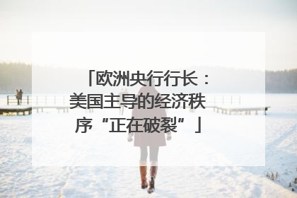 欧洲央行行长：美国主导的经济秩序“正在破裂”