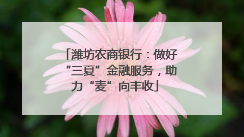 潍坊农商银行：做好“三夏”金融服务，助力“麦”向丰收