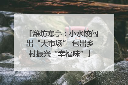 潍坊寒亭：小水饺闯出“大市场” 包出乡村振兴“幸福味”