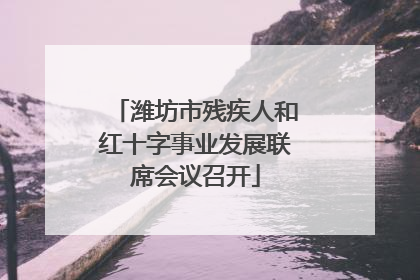 潍坊市残疾人和红十字事业发展联席会议召开