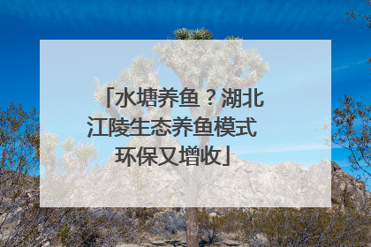 水塘养鱼？湖北江陵生态养鱼模式环保又增收
