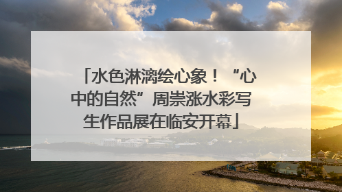水色淋漓绘心象！“心中的自然”周崇涨水彩写生作品展在临安开幕