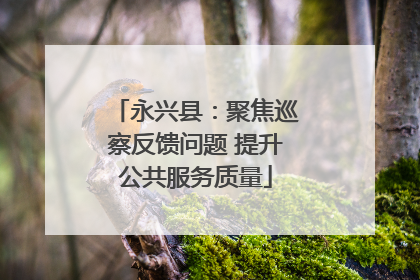 永兴县：聚焦巡察反馈问题 提升公共服务质量