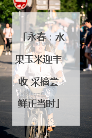永春：水果玉米迎丰收 采摘尝鲜正当时