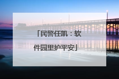 民警任凯：软件园里护平安