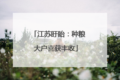江苏盱眙：种粮大户喜获丰收