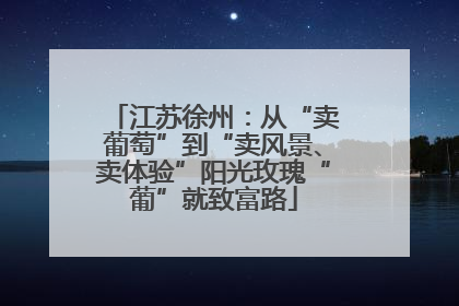 江苏徐州：从“卖葡萄”到“卖风景、卖体验”阳光玫瑰“葡”就致富路
