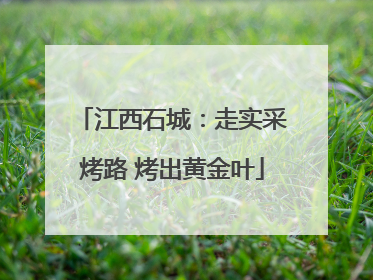 江西石城：走实采烤路 烤出黄金叶