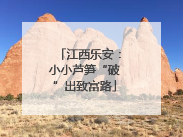 江西乐安：小小芦笋“破”出致富路