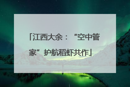 江西大余：“空中管家”护航稻虾共作