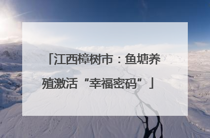 江西樟树市：鱼塘养殖激活“幸福密码”