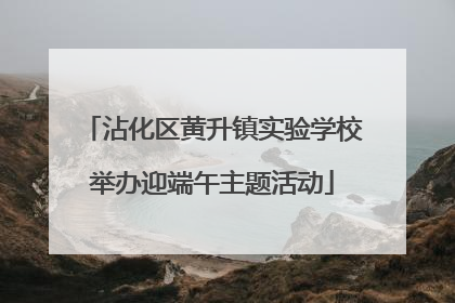 沾化区黄升镇实验学校举办迎端午主题活动