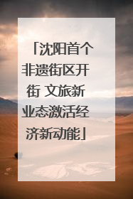 沈阳首个非遗街区开街 文旅新业态激活经济新动能