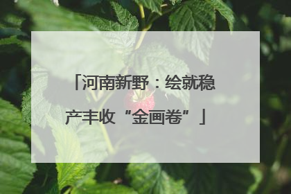 河南新野：绘就稳产丰收“金画卷”