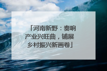 河南新野：奏响产业兴旺曲，铺展乡村振兴新画卷