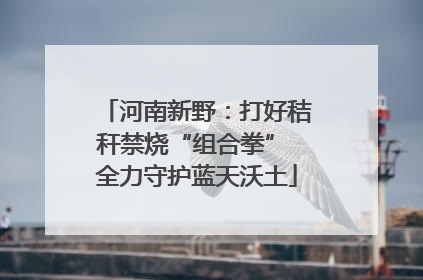 河南新野：打好秸秆禁烧“组合拳” 全力守护蓝天沃土