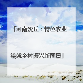 河南沈丘：特色农业绘就乡村振兴新图景