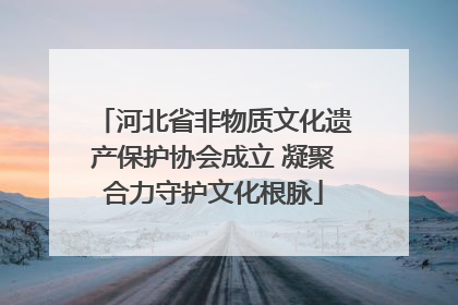河北省非物质文化遗产保护协会成立 凝聚合力守护文化根脉