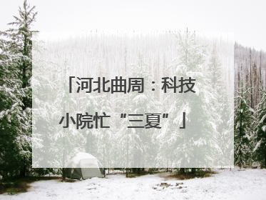 河北曲周：科技小院忙“三夏”