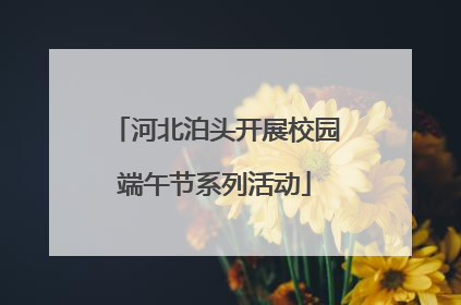 河北泊头开展校园端午节系列活动