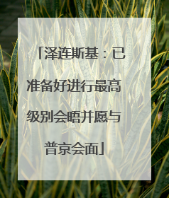 泽连斯基：已准备好进行最高级别会晤并愿与普京会面