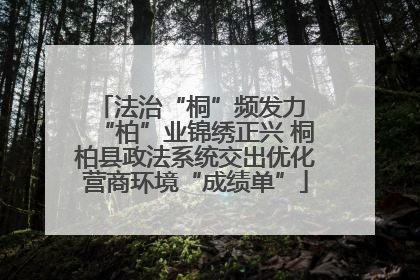法治“桐”频发力 “柏”业锦绣正兴 桐柏县政法系统交出优化营商环境“成绩单”